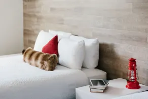 Elk + Avenue Hotel - Room