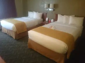 Quality Inn Hyde Park - Poughkeepsie North - Room