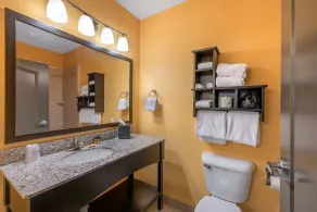 Best Western Plus North Platte Inn & Suites - Salle de bain