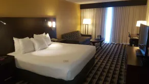 M Hotel Buffalo - Chambre