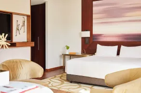 Park Hyatt Zurich – City Center Luxury - Room