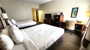 Comfort Inn & Suites Mount Pocono - Chambre