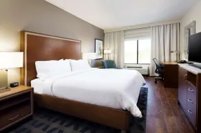 Hilton Garden Inn Longview - Chambre