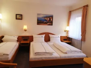 Hotel Gasthof zum Schwan - Room