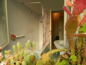 Bed And Roses - Bathroom