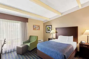 Econo Lodge Waynesboro - Skyline Drive - Chambre