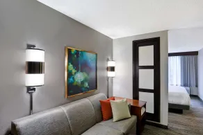 Hyatt Place Birmingham/Hoover - Chambre