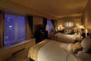 RIHGA Royal Hotel Osaka, Vignette Collection by IHG - Camera