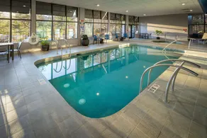 Hampton Inn Asheville-Tunnel Rd. - Piscine
