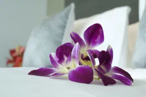 Novotel Jeddah Tahlia - Room