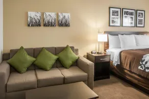 Sleep Inn & Suites Devils Lake - Chambre