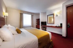 Comfort Inn Queretaro Tecnologico - Camera