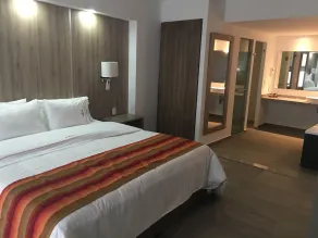Hangar Inn Guadalajara Aeropuerto - Habitación