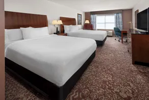Hilton Garden Inn Milford - Chambre