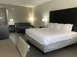 Comfort Inn & Suites Greer - Greenville - Chambre
