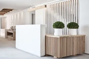 Radisson Blu Euphoria Resort, Mykonos - Reception