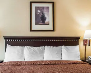 Econo Lodge Elmira-Corning - Chambre