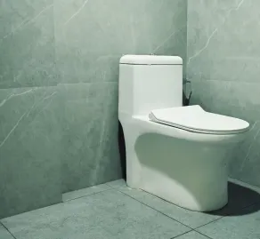 Hotel Sree Kanya Inn - Bagno