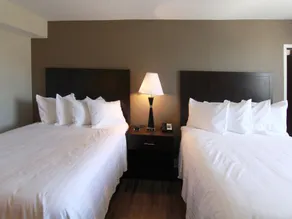 The Hotel Hot Springs - Chambre