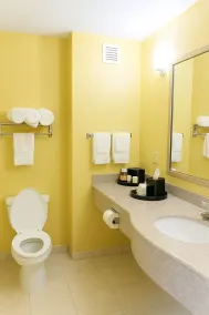 Ambassador Inn & Suites Tuscaloosa University I-20 - Salle de bain