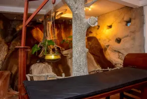 Sinharaja Park Hotel - Spa