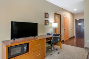 Comfort Suites - University - Room