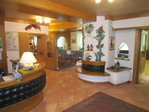 Hotel Alpina - Réception