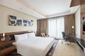 Radisson Blu Kaushambi Delhi NCR - Room