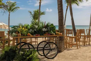Sanctuary Cap Cana, a Luxury Collection Resort, Dominican Republic, Adult All-Inclusive - Reception
