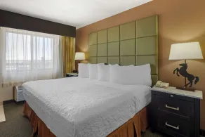 Best Western Plus Country Inn & Suites - Chambre