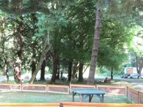 Dean Creek Resort - Pool