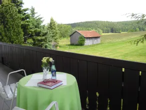 Gasthof-Pension-Kraus - Vista dalla camera