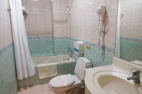 East Commercial Affairs Hotel - Salle de bain