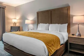Comfort Inn & Suites Jacksonville - Orange Park Near Naval Air Station - Room