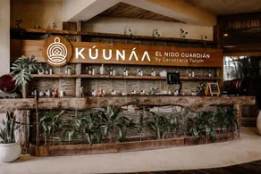 Kuunaa Tulum Beer Sanctuary and Spa - Adults Only - Reception