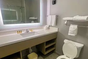 Comfort Suites Seabrook - La Porte - Kemah - Badeværelse