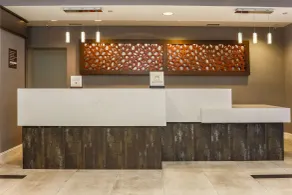 DoubleTree by Hilton Atlanta Airport - Réception