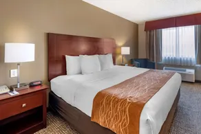 Comfort Inn & Suites Kelso - Longview - Chambre
