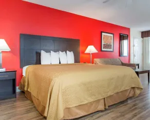Quality Inn & Suites Lexington - Chambre