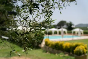 Borgo Bernabei - Pool