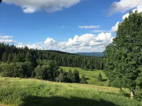 Berggasthaus Kandelhof - Vista dalla camera