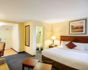 Mainstay Suites Dover - Chambre