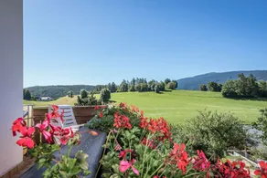 Hotel Wiedenhofer - Ausblick vom Zimmer