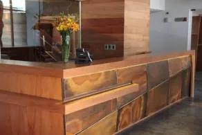 Hotel Frontera Plaza - Reception