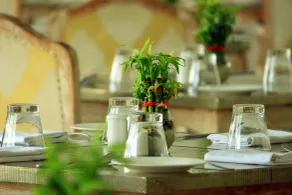 TatSaraasa Resort & Spa, Udaipur - Restaurant