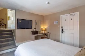 The Loopy Shrew - Room