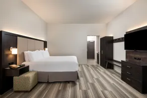 Holiday Inn Express & Suites Lakeland South by IHG - Chambre
