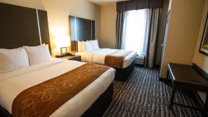 Comfort Suites Near Sam Houston Race Park - Room