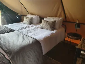 Bundox Explorer Camp - Værelse