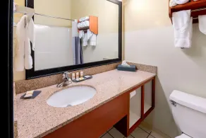 La Quinta by Wyndham Helena - Bathroom